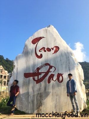 Check in Tam Đảo