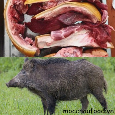 Thịt lợn rừng Đặc sản Mộc Châu 