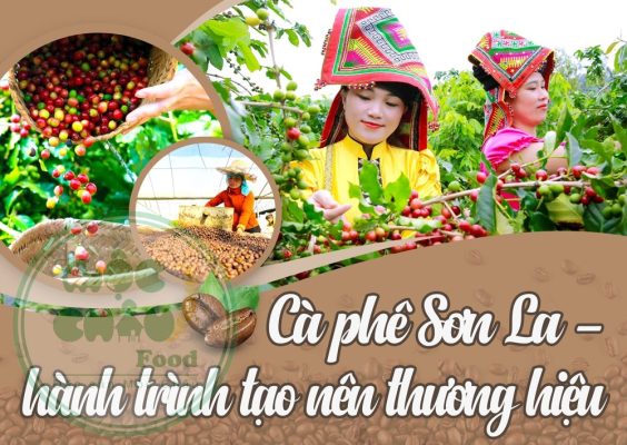 cà phê sơn la