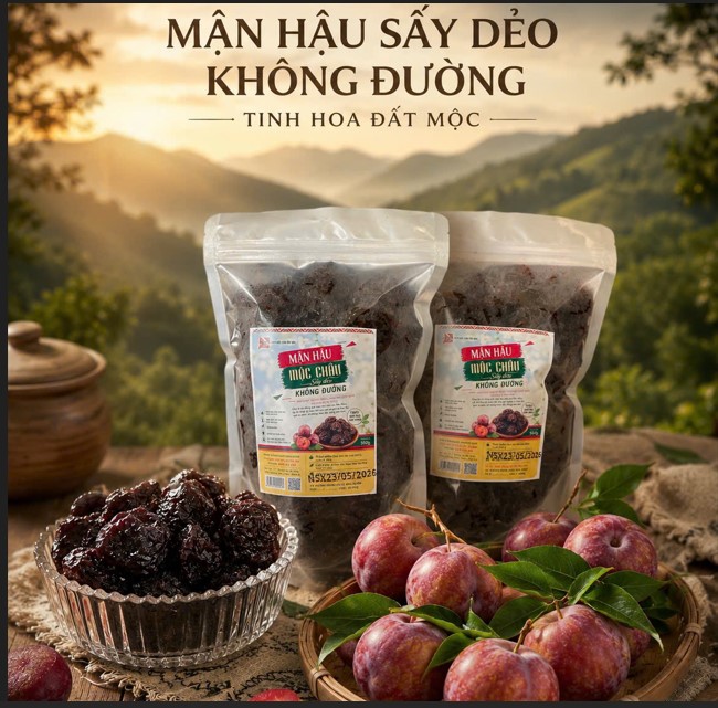 mận sấy dẻo không đường mộc châu