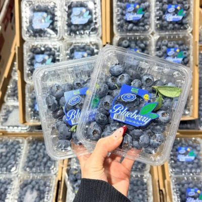 việt quất việt nam, mộc châu