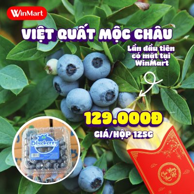 mua việt quất